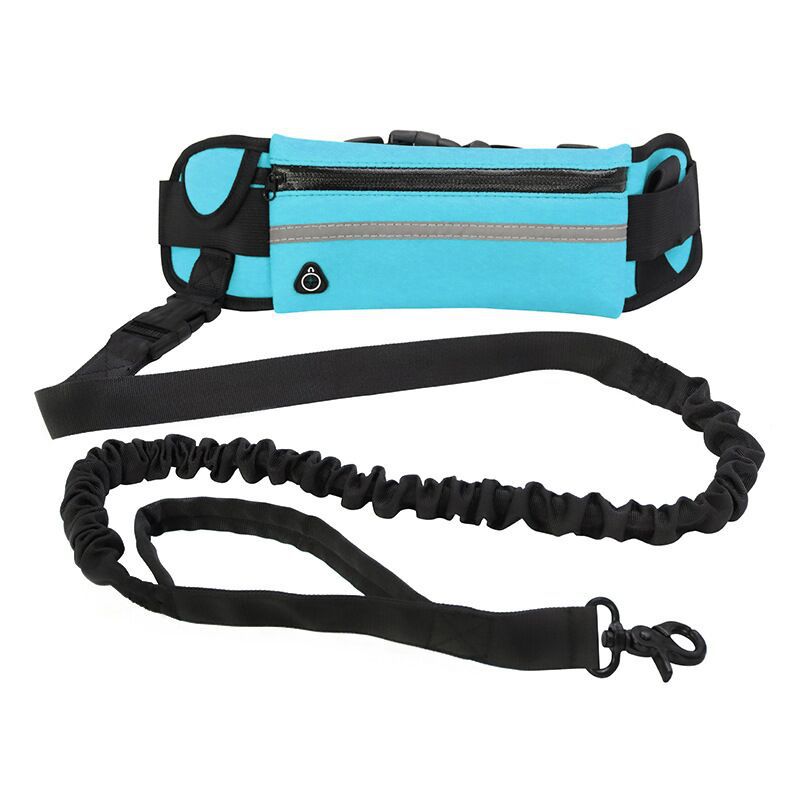 Adjustable Waist Bag with Dog Lead Pack Wholesaler Pet Leashes