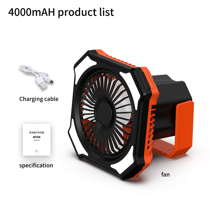 4000