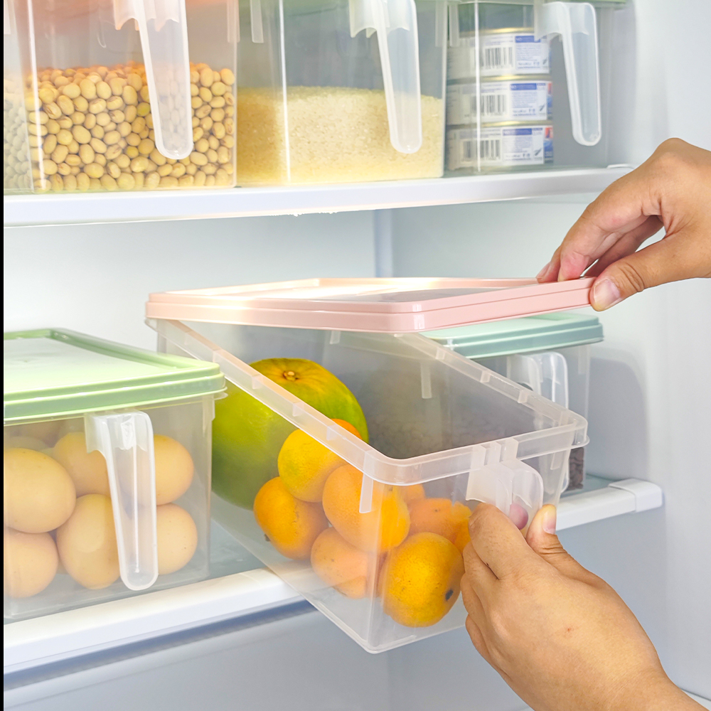 Food Storage Container with Lids and handles